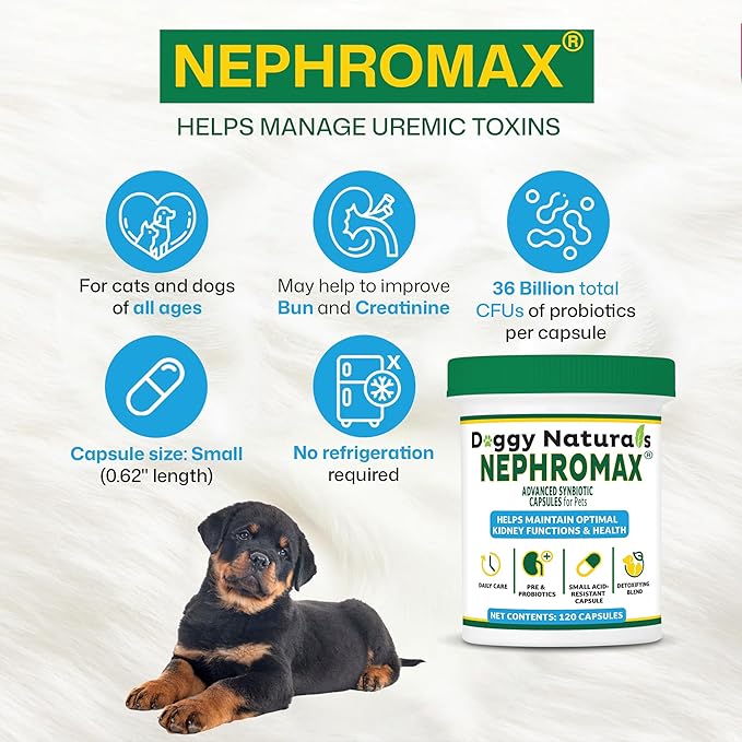 NEPHROMAX™ Kidney Support Supplement Cats 360