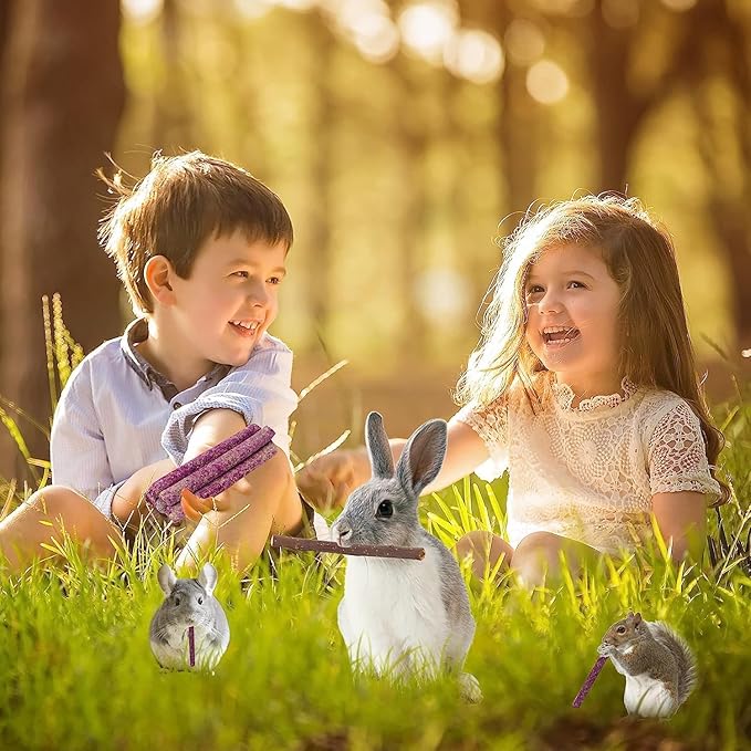 70PCS Rabbit Chew Sticks, Bunny Guinea Pig Toys for Teeth Natural Timothy Hay Sticks for Rabbit Chinchilla Guinea Pig Bunny Hamster - Chews Toys for Small Rodents' Teeth