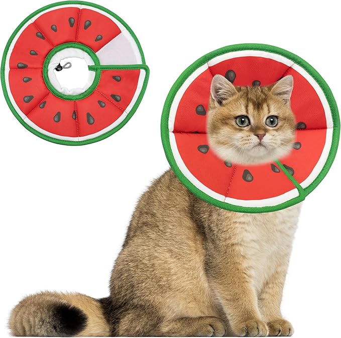 Soft Adjustable Cat Cone Collar - Comfortable Recovery Collar for Cats After Surgery (Watermelon, Medium)