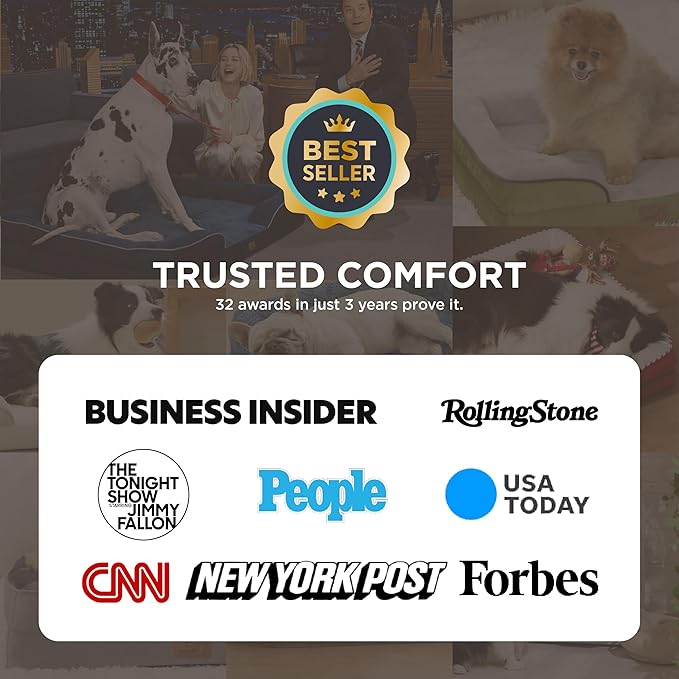 Bedsure Orthopedic Dog Beds for Small Dogs - Washable Small Dog Cat Bed Waterproof, Comfort Pet Couch Sofa with Washable Removable Cover, Pets Bed with Nonskid Bottom, Brown, 24"