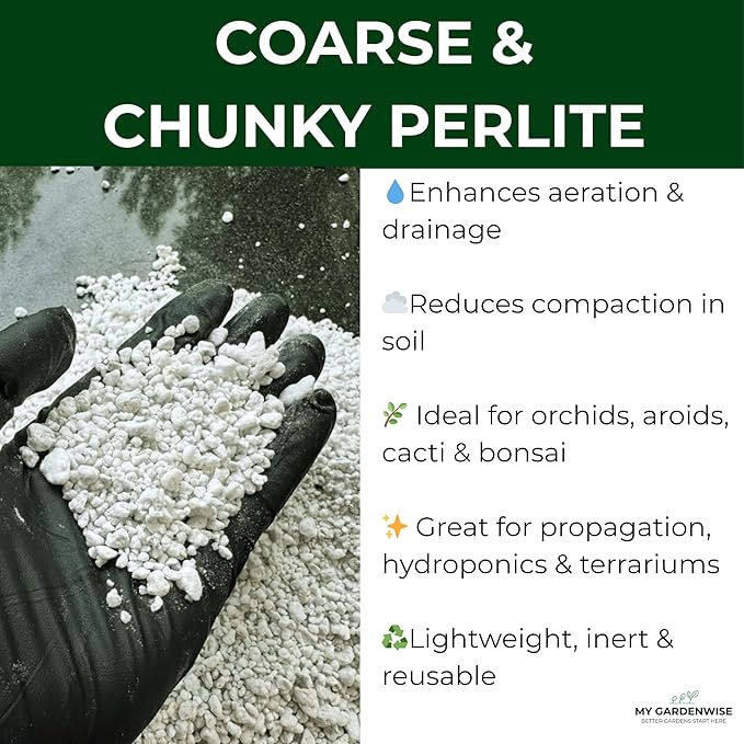 Perlite for Plants, Coarse and Chunky Horticultural Perlite, Organic Perlite for Gardening Indoor & Outdoor, Perlite Bulk Bag, Made in USA (5 quarts)