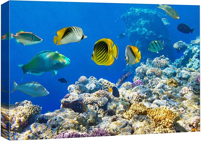 wall26 Canvas Print Wall Art Tropical Island Ocean Sea Fish Coral Reef Nature Animals Photography Realism Rustic Scenic Landscape Wilderness Earth Colorful for Living Room, Bedroom, Office - 24"x36"