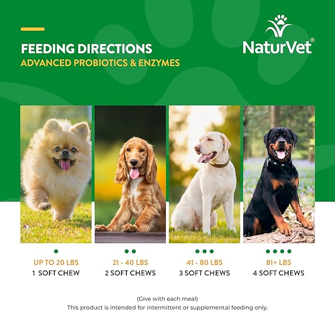 NaturVet Advanced Probiotics & Enzymes, PB6 Dog Soft Chews to Help Sensitive Stomachs and Digestive Issues, Hickory Smoked Bacon Flavored Pet Supplement for Dogs Over 6 Weeks, 70 Count Jar
