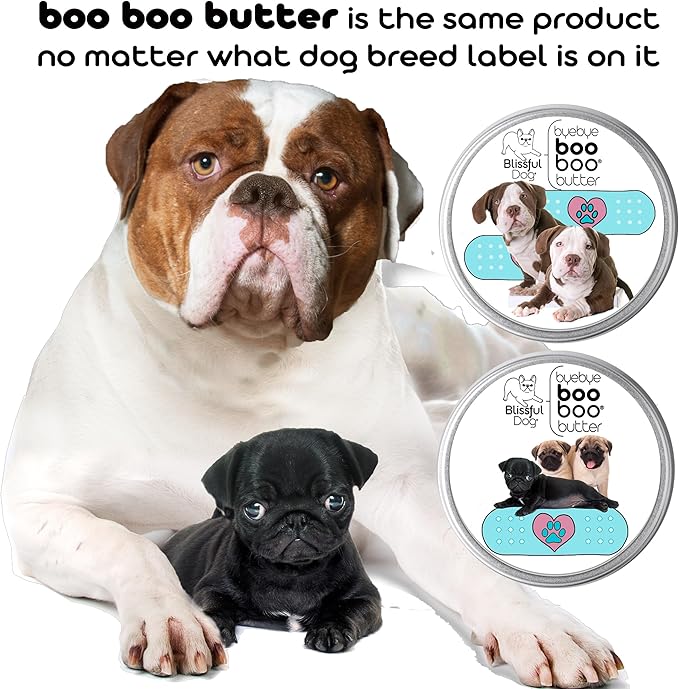 The Blissful Dog Schnauzer Boo Boo Butter, 16 oz.