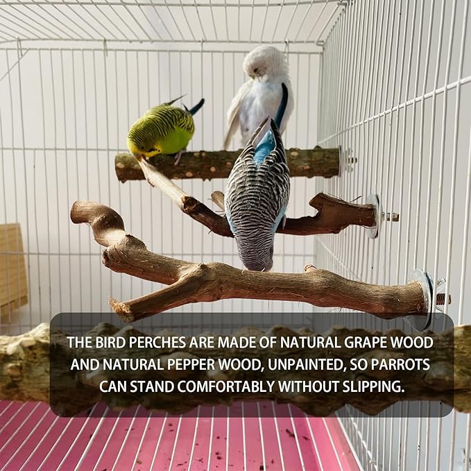 5PCS Bird Perch Stand Natural Wooden Parrot Stand Branch,3 Grape Wood Perch,2 Stand,Paw Grinding Fork Parakeet Chewing Stick Exercise Training Branches for Cockatiels,Small Medium Birds