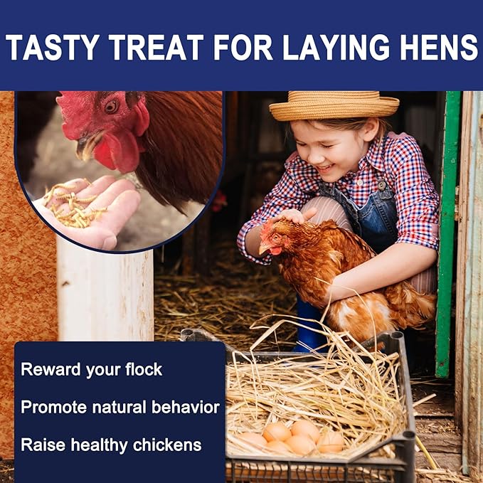 RANZ 5LBS Non-GMO Dried Mealworms for Chickens, High Protein Meal Worms, Premium Chicken Feed, Perfect Bird Food and Chicken Treats, Whole Large Mealworms for Wild Birds, Ducks, Fish