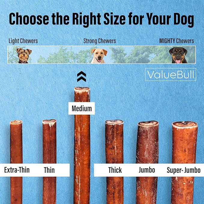 ValueBull Bully Sticks for Dogs, Medium 12 Inch, 200 Count Bulk Pack - All Natural, Grass Fed, Single Ingredient, Long Lasting Dog Treats