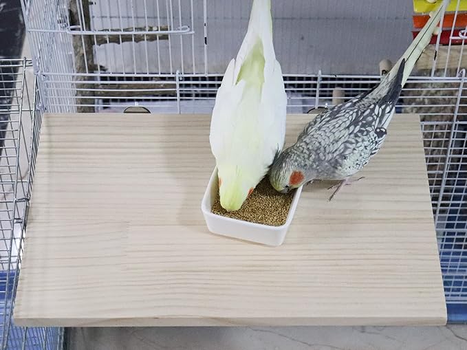 15.7×10.4 Inches Large Bird Perch Stand Platform, Natural Wooden Small Animals Cage Accessories, Rectangle Stand Perch Shelf for Parrot Parakeet Cockatiel Rat Hamster Guinea Pig Conure Chinchillas