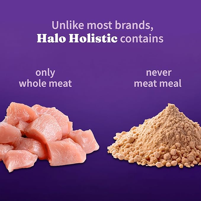 Halo Holistic Cage Free Chicken Cat Food, Healthy Grains Dry Cat Food, Complete Digestive Health, Kibble for Adult Cats, 3 lb Bag