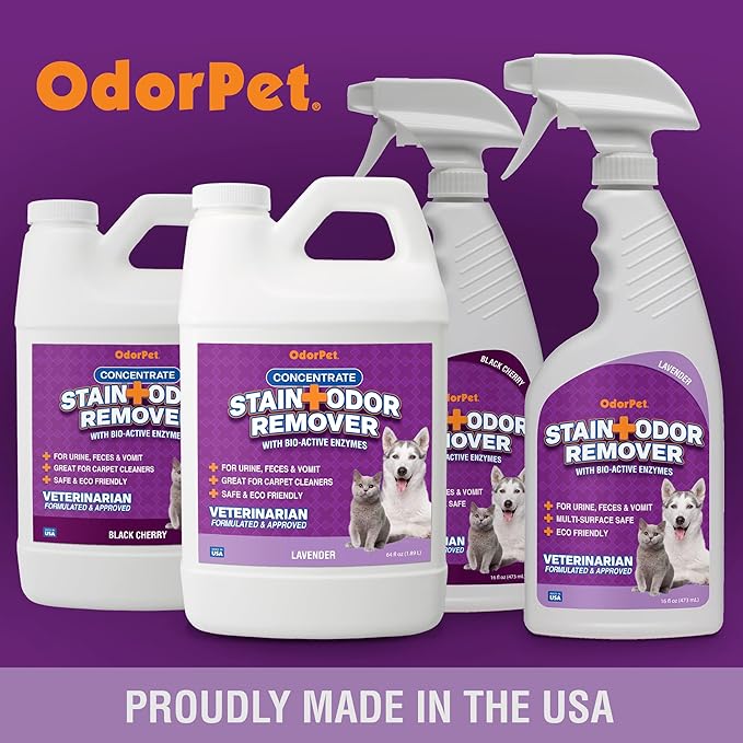 OdorPet Pet Stain Remover and Odor Eliminator - 16 Oz Ready To Use Spray, Non Staining, Professional Strength, Lavender Scent by Alpha Tech Pet