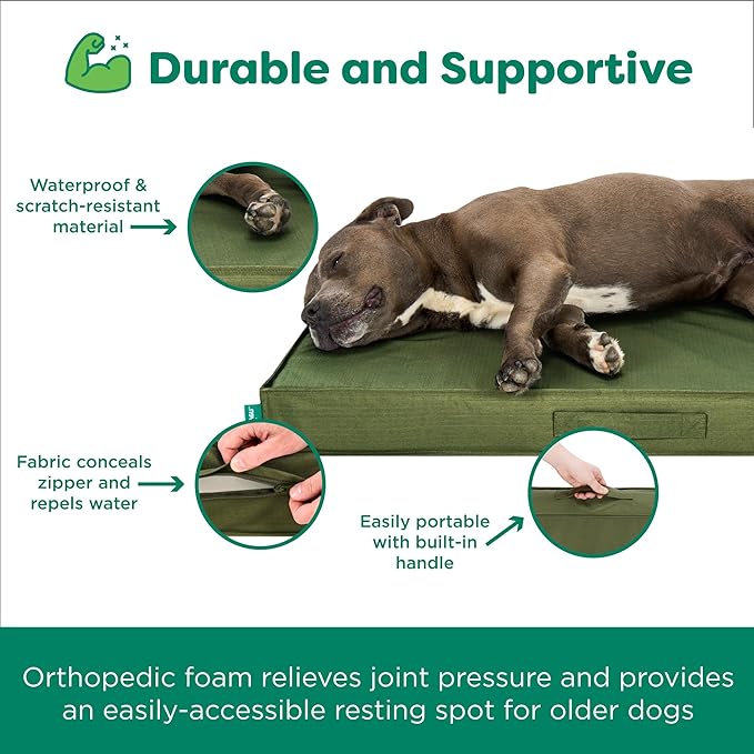 FurHaven Cooling Dog Bed – Medium Foam Mattress for Joint Pain Relief, Waterproof Liner, Removable Washable Cover, Durable for Outdoor Use, Deluxe Grid Indoor/Outdoor Bed – Green, Medium