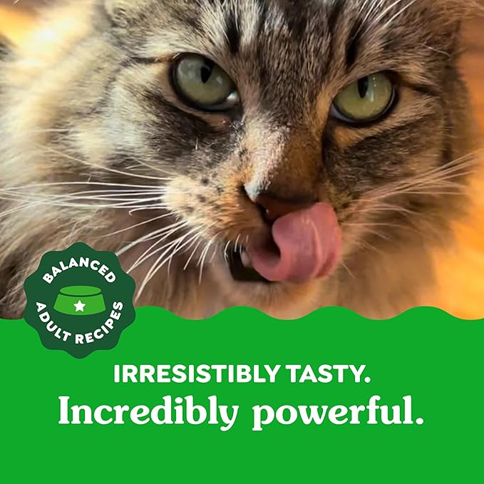 Greenies Feline Adult Dental Cat Treats, Savory Salmon Flavor, 21 oz. Tub