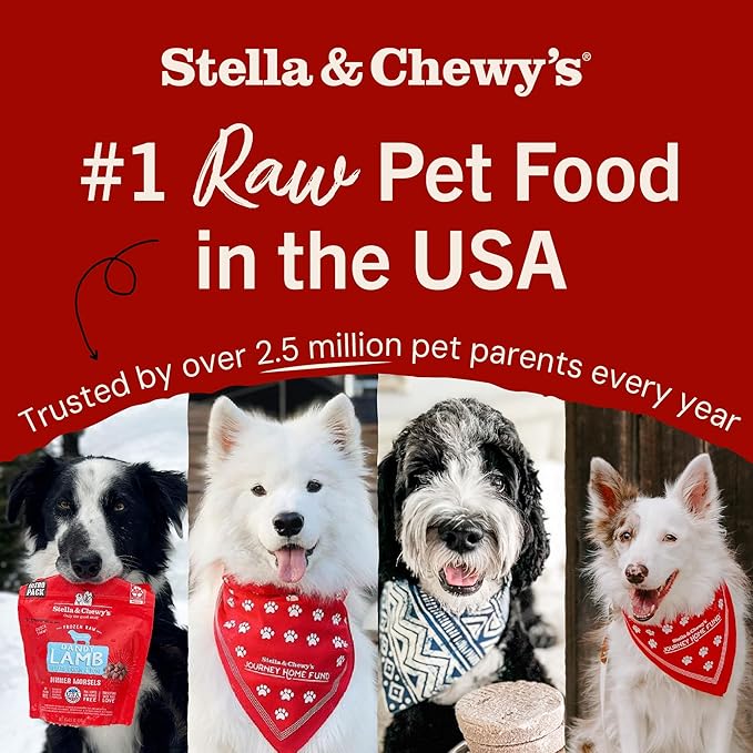Stella & Chewy's Freeze-Dried Raw Dinner Patties - Turkey Recipe - High Protein Grain-Free Puppy & Dog Food - Perfect For Picky Eaters - 5.5 oz