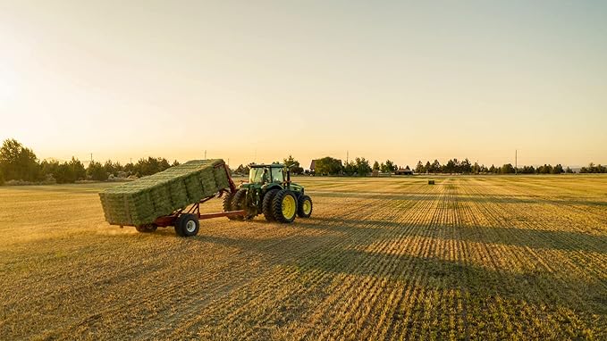 Blue Mountain Hay High-Altitude Hay - Organic Alfalfa, 25lb - High Protein, Fiber & Mineral-Rich - Soft, Leafy, High Leaf Retention - Ideal for Goats, Rabbits, Guinea Pigs & Other Small Animals