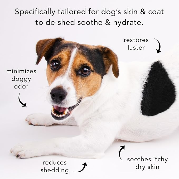 Pride and Groom The Shedder Box Set – Deshedding Dog Shampoo & Conditioner with All Natural Blend of Essential Oils & Ingredients to Moisturize & Untangle Curly and Wavy Coats – 32oz