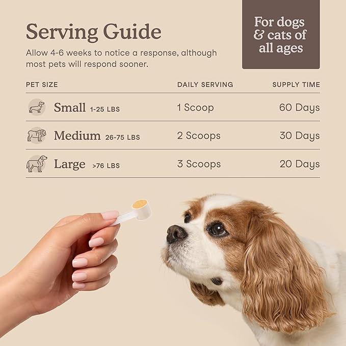 Fera Pets Liver Supplement for Dogs & Cats with Milk Thistle, Choline & Turmeric - Organic Botanicals - Enhances Liver Function, Immunity, Detoxification, & Metabolic Function - Powder - 60 Scoops