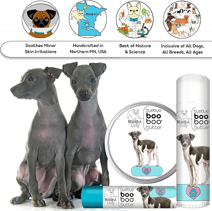 The Blissful Dog Italian Greyhound Boo Boo Butter, 2-Ounce