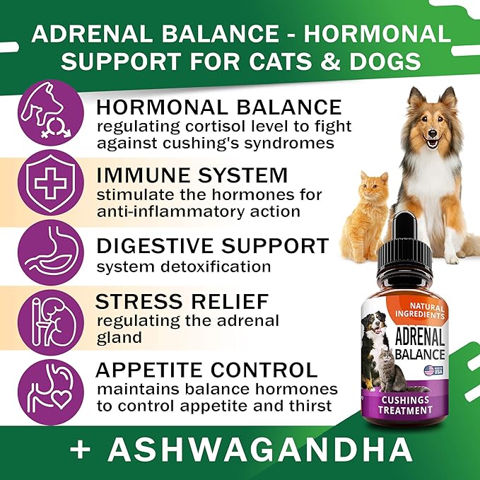 Adrenal Balance for Dogs and Cats - Cushings Treatment for Pets, Adrenal Support w/ Ashwagandha, Licorice Root, Rhodiola Rosea - 2oz Herbal Drops