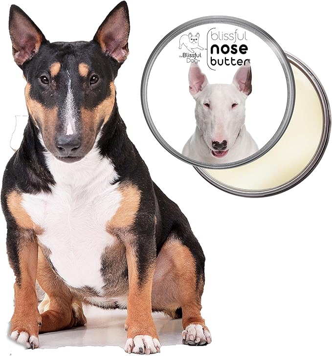 The Blissful Dog Bull Terrier Unscented Nose Butter, 1 oz