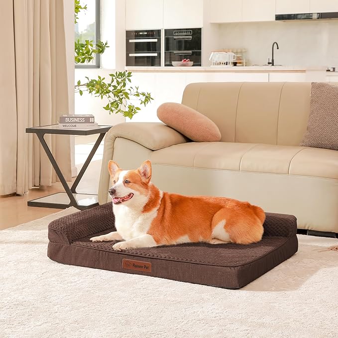 Orthopedic Dog Beds Large Sized Dog, 3 Inch Memory Foam Pet Bed for Medium and Large Dogs, Washable Removable Cover, Nonskid Bottom, Waterproof, 41x27 Inches XL Brown Grey