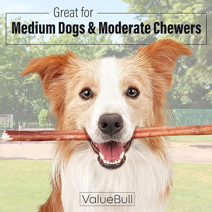 ValueBull Bully Sticks for Dogs, Medium 12 Inch, 400 Count Wholesale Pack - All Natural, Grass Fed, Single Ingredient, Long Lasting Dog Treats