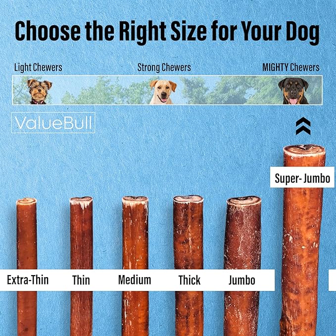 ValueBull Bully Sticks for Large Dogs, Super Jumbo 6 Inch, 50 Count - All Natural, Grass Fed, Single Ingredient, Long Lasting Dog Treats for Aggressive Chewers