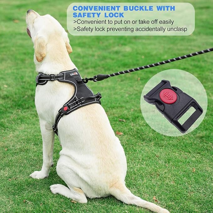 No Pull Dog Harness Adjustable Reflective Oxford Easy Control Medium Large Dog Harness with A Free Heavy Duty 5ft Dog Leash (M (Chest: 22"-26"), Purple Harness+Leash)
