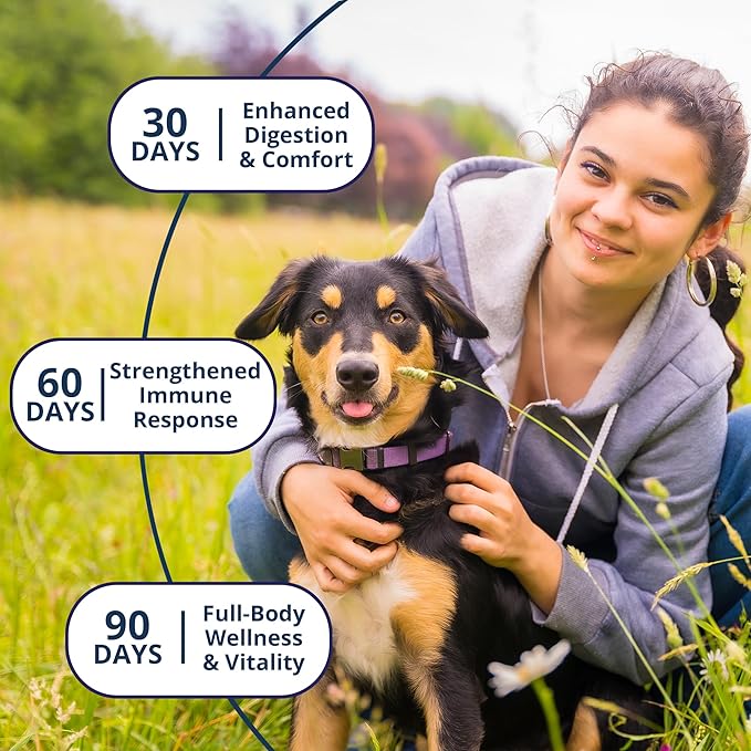 NOVEHA Probiotic Chews for Dogs | Ultimate Gut Health & Digestive Support | for Healthy Skin & Coat | Relieves Itching & Paw Licking | Probiotics for Pet Dogs with Allergies (180 Chews 2-Pack)