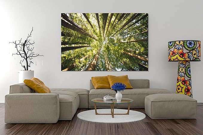 Nature Wall Art Prints - Ocean Forest Mountain Lake Canvas Landscapes - Small to Extra Large Living Room Bedroom Kitchen Bathroom Décor (Serenity in the Forest, 16L" x 24W")