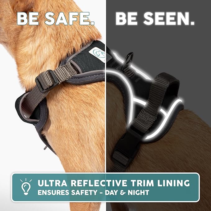 Embark Adventure Dog Harness, Reflective Trim XL Harness for Extra Large Dogs No Pull - Military Grade Nylon, 2 Leash Clips & Gel Lined Handle. Soft & Padded Puppy Dog for Any Breed