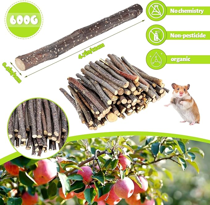 600g Small Apple Sticks Animals Molar Wood Treats Toys for Rabbits Chinchillas Guinea Pig Hamster Gerbil Parrot Bunny Chew Stick Toys Treats, 21.2 OZ