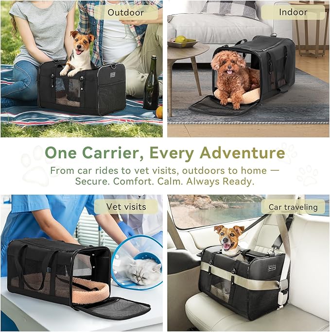 Petsfit 19x12x12 Pet Carrier for Large Cats (up to 20 lbs), Soft-Sided Small Dog Travel Carrier, Upgraded with Patented Buckle and Soft Padding, Ideal for Car Road Trips,Black