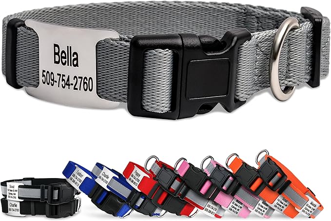GoTags Personalized Dog Collar with Nameplate, Adjustable Dog Collar with Custom Engraved Slide On Pet ID Tag in Stainless Steel, Silent, No Noise Dog Tag (Light Gray, Small)