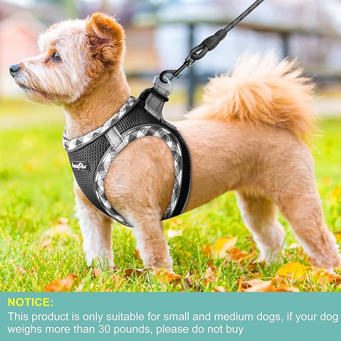 haapaw Dog Harness with Leash Set, No Pull Adjustable Reflective Step-in Puppy Harness with Thickened Padded Vest for Extra-Small/Small Medium Dogs