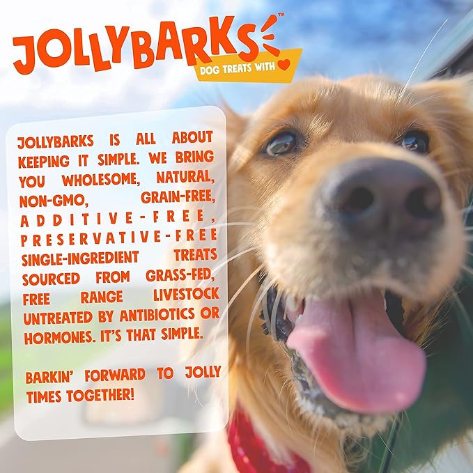 Junior Bully Sticks for Small Dogs | All Natural, Single Ingredient Bully Sticks for Puppies to Medium Dogs (6 Inch - 25pk)