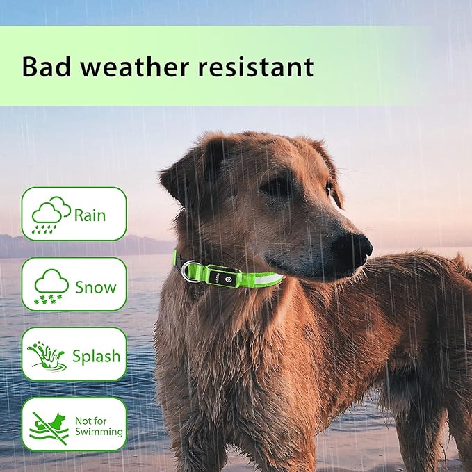 PcEoTllar Light up Dog Collar for Night Walking - LED Dog Collar Light Rechargeable Color Changing, Glow in The Dark Dog Collars Waterproof Glowing Dog Collars for Large Small Medium Dogs