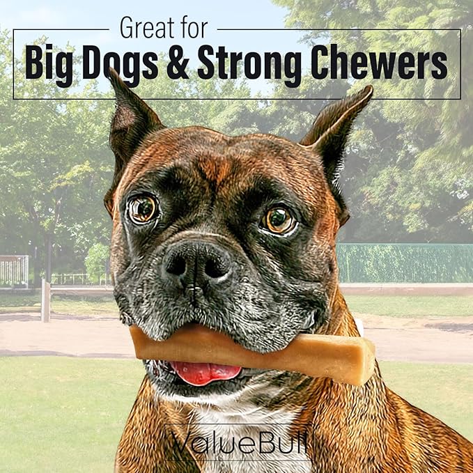 ValueBull Himalayan Yak Cheese Dog Chews, Large, 25 ct Bulk Pack - Long Lasting for Aggressive Chewers, All Natural, Healthy & Safe, Low Odor Nepal Yak Milk Chews