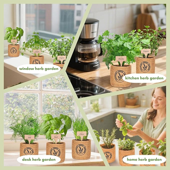 10 Indoor Herb Garden Kit- Burlap Pots, Organic Seeds, Herb Garden Planter Indoor Kit, Easy Window & Kitchen Herbs Growing Kit, Cilantro, Basil, Sage, Oregano, Parsley, Dill, Chives etc.
