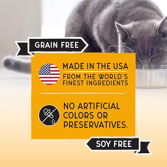 Blackwood Bounty Dry Cat Food, Chicken & Turkey Recipe for All Life Stages, 4.5 Pound Bag, High Protein, Grain Free