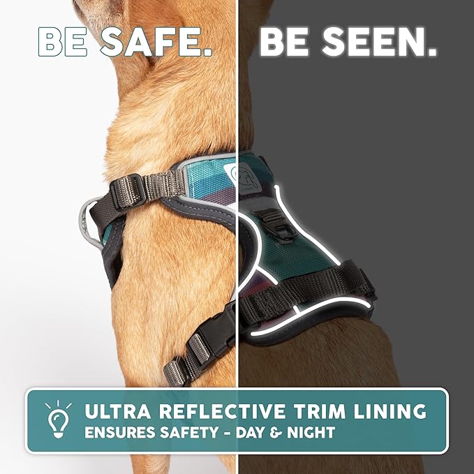 Embark Adventure Dog Harness, Reflective Trim No Pull Harness for Large Dogs - Military Grade Nylon, Front Clip with Gel Lined Handle. Soft & Padded Puppy Harnesses for Any Breed