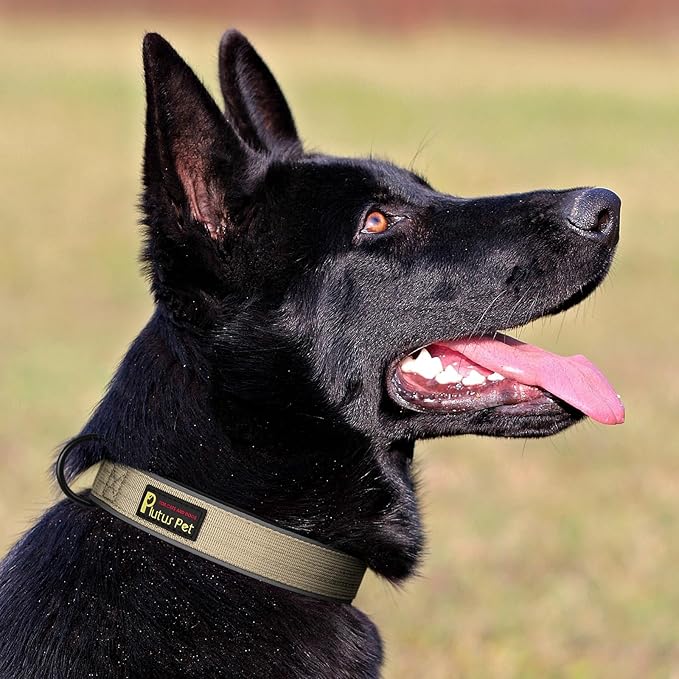 Plutus Pet Tactical Dog Collar, Reflective, Adjustable Heavy Duty Dog Collar, Soft Padded and Comfortable, for Small Medium and Large Dogs (Beige, L)