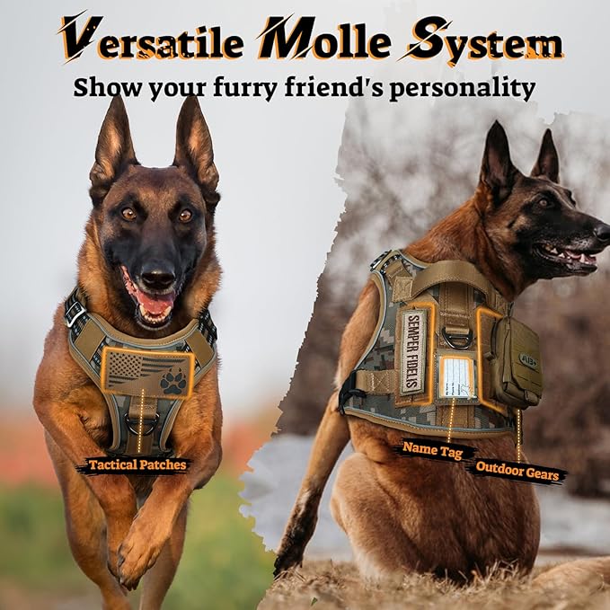 rabbitgoo Dog Harness for Large Dogs No Pull, Tactical Service Pet Vest with Molle and Control Handle, Adjustable and Reflective Military Harness for Easy Walking and Training, Desert camo, L