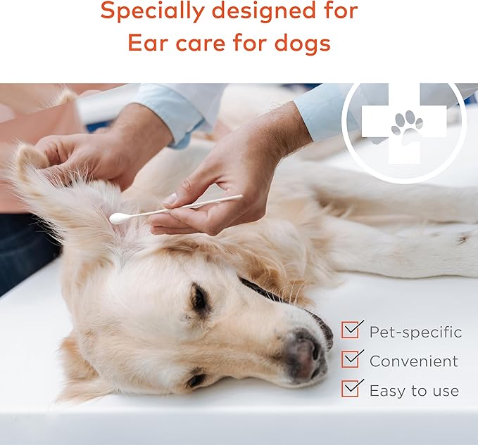 Cotton Swabs for Dogs and Cats - Cat & Dog Ear Cleaner Long Cotton Swab - Extra Large Cotton Head, Cat & Dog Ear Cleaning Kit for Puppies, Multipurpose Pet Cotton Swabs (Extra Large 100 Buds)