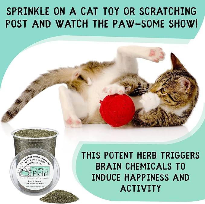 from The Field | Fine Ground Stalkless Catnip | Premium USA-Grown Catnip for Toys & Playtime | Fresh, Potent, Non-Toxic, Eco-Friendly | Safe for Kittens & Cats | Resealable 1 oz Can