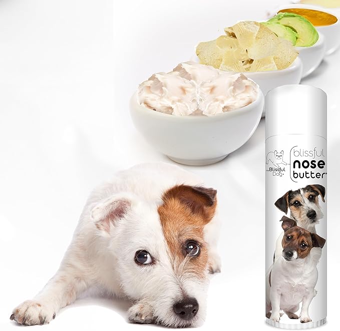 The Blissful Dog Jack Russell Terrier Nose Butter for Dry, Cracked Skin, Lick-Safe Dog Nose Balm with Moisturizing Shea Butter, Almond, Olive, and Essential Oils, Pet Supplies, Uncented, 0.50 oz.