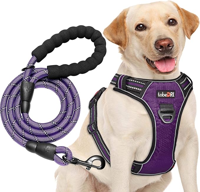 No Pull Dog Harness Adjustable Reflective Oxford Easy Control Medium Large Dog Harness with A Free Heavy Duty 5ft Dog Leash (M (Chest: 22"-26"), Purple Harness+Leash)