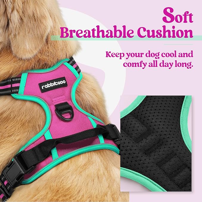 rabbitgoo Dog Harness No Pull with 2 Leash Clips, Adjustable Soft Padded, Reflective Oxford No Choke Pet Vest with Easy Control Handle for Large Dogs, Hot Pink & Turquoise, M