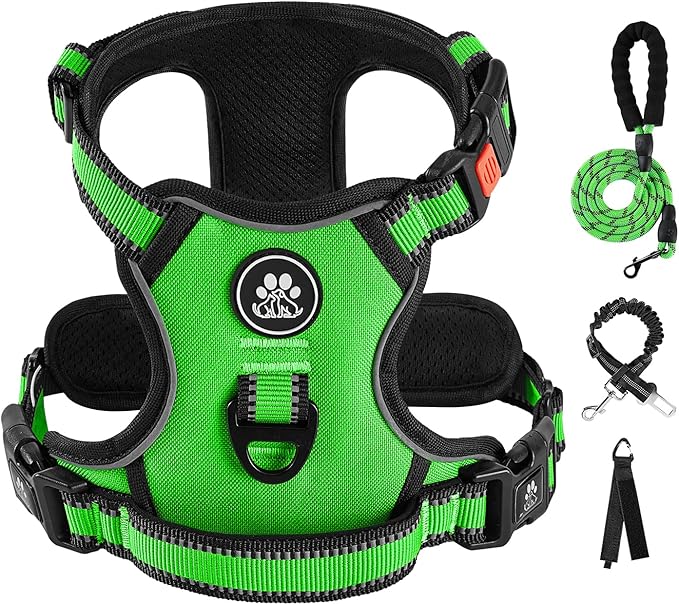 IVY&LANE No Pull Dog Harness for Small Dogs, Dog Vest Harness with Leash, Safety Belt and Storage Strap, Fully Adjustable Harness, 360° Reflective Strip, Soft Handle (Green,S)