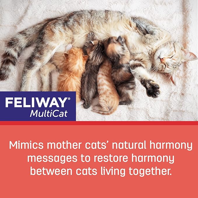 FELIWAY® MultiCat 3 x 30 Day Cat Calming Refills for Pheromone Diffuser, 3 x 48ml Value Pack- Helps Reduce Conflicts and Signs of Tension in Multi-Cat Households