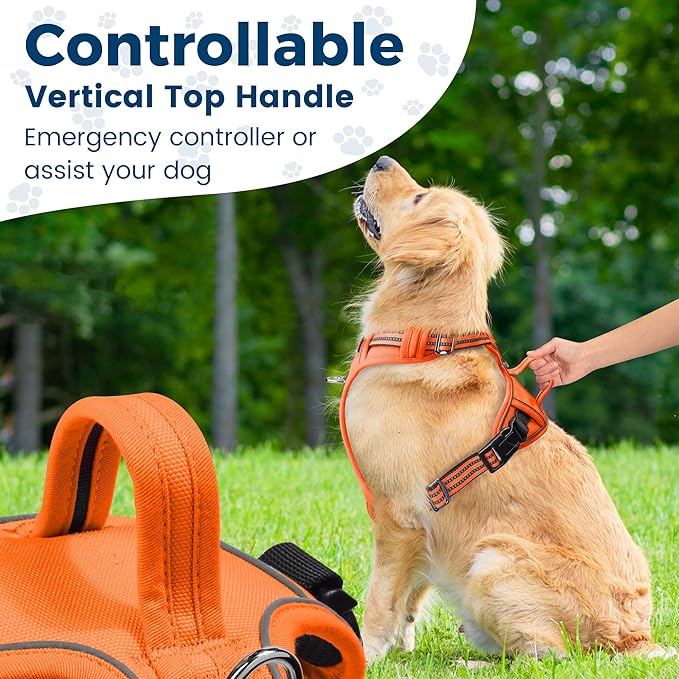 Funfox Dog Harness No Pull, Adjustable Pet Vest Harness, Super Soft Material with Vertical Handle Easy Control, Reflective Night Walking, 2 Leash Clips for Medium Sized Dogs, Orange, M